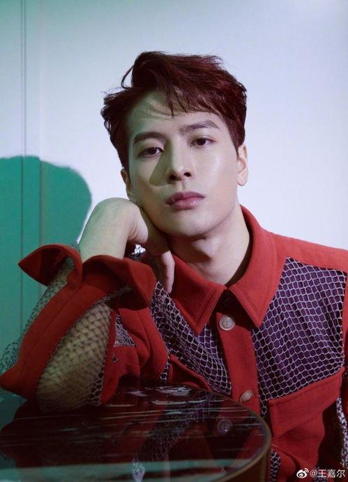 吃瓜娱乐圈王嘉尔微博