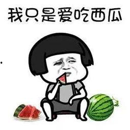 吃瓜系统搞笑沙雕小说娱乐圈,吃瓜系统搞笑沙雕日常